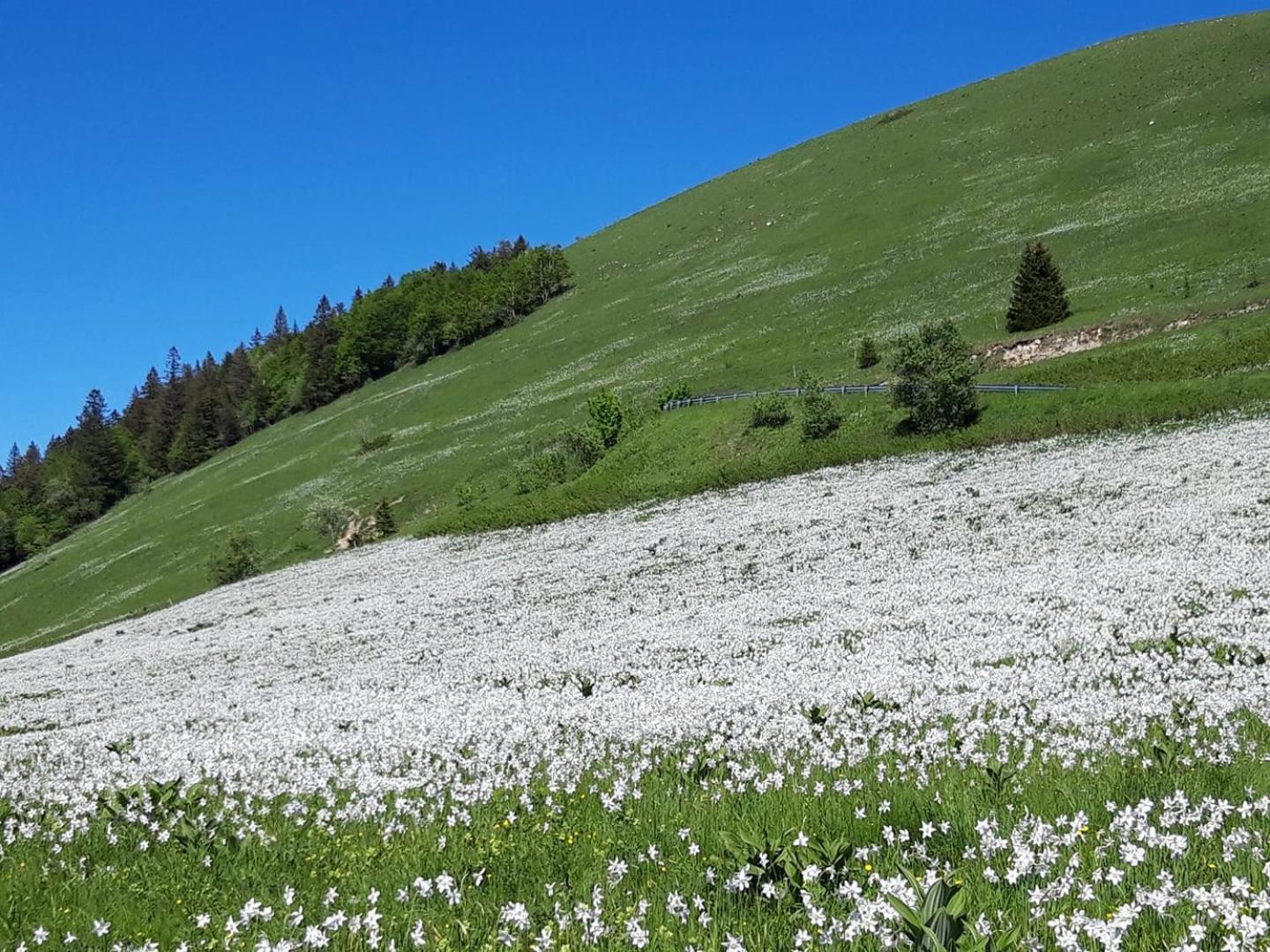 Valreley, Chambres Et Table D'Hotes Eco-Friendly Avec Bain Nordique Au Sud Du Massif Du Jura Champagne-en-Valromey Esterno foto